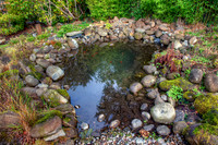 garden2