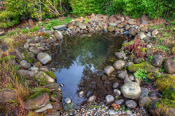 garden2