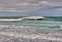 "Waves and Birds"