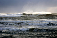 "Wild Waves"