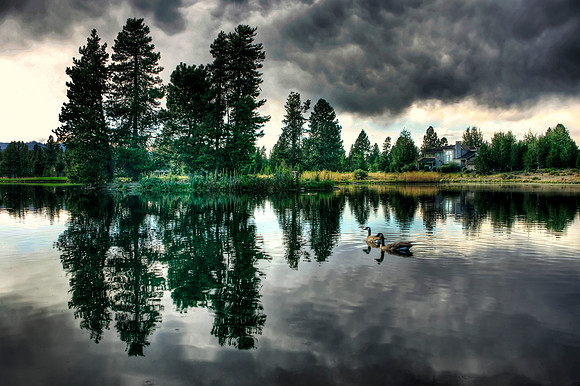 "Ducking the Storm"