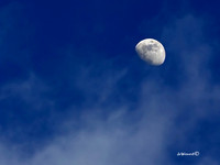 "Daytime Moon"