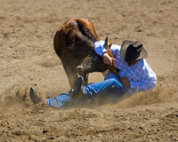 "Bull's Eye"