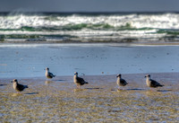 "Wet Feet"