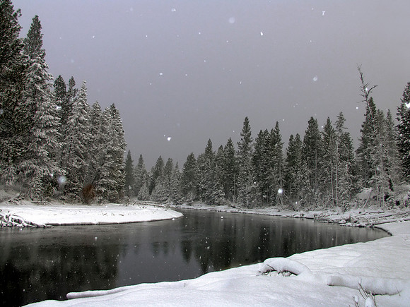 "Still Snowing"