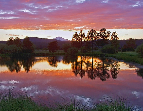 "Pink Reflections"