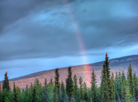 Midnight Rainbow