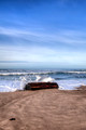 LincolnCity2015