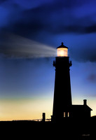 "Lights"