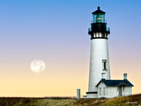 "Morning Moon"