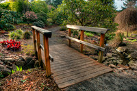 garden5