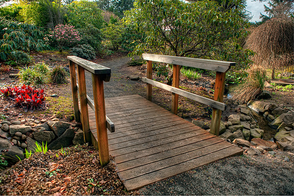 garden5