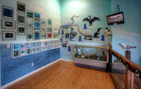 WhaleSealifeSharkMuseum-12