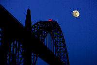 "New Night"
