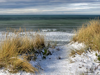 "Snowy Grass"